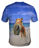Horse Beach Snout