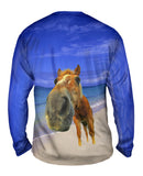 Horse Beach Snout