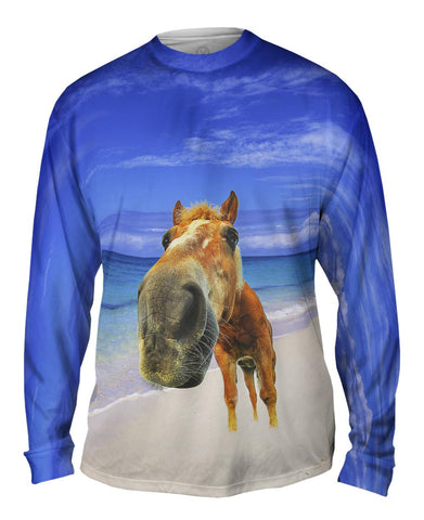 Horse Beach Snout