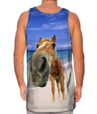 Horse Beach Snout