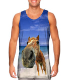 Horse Beach Snout