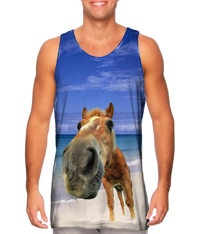 Horse Beach Snout