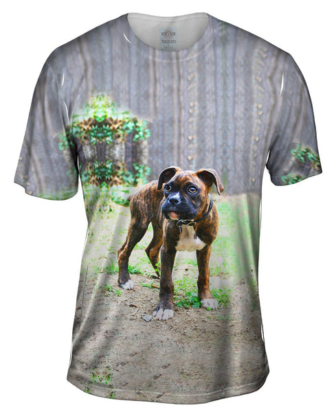 Tiger Striped Boxer&nbsp;Mens T-Shirt