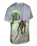 Tiger Striped Boxer