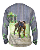 Tiger Striped Boxer