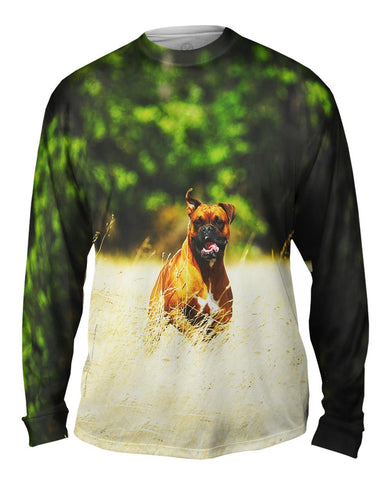Excited Boxer Sprinting