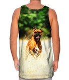 Excited Boxer Sprinting