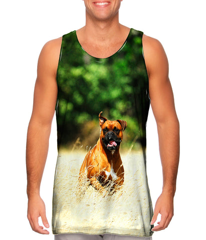 Excited Boxer Sprinting