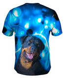 Rottweiler Trance Dance