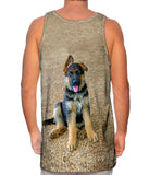 German Shepherd Puppy