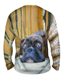 Resting Boxer