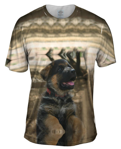 Water Reflection German Shepherd