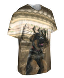Water Reflection German Shepherd