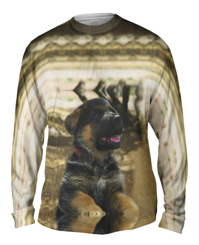 Water Reflection German Shepherd
