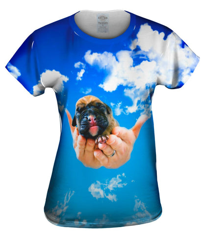 Heavens Hands Boxer Puppy
