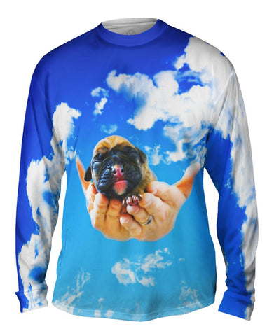 Heavens Hands Boxer Puppy