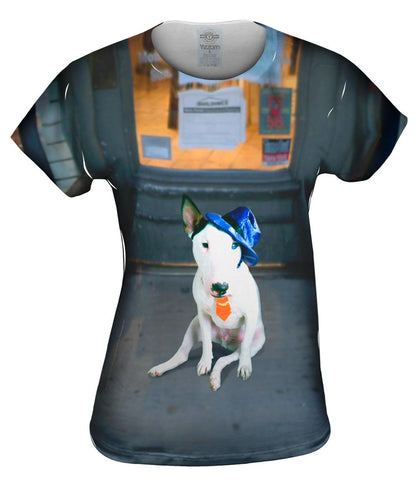 Storefront Bull Terrier