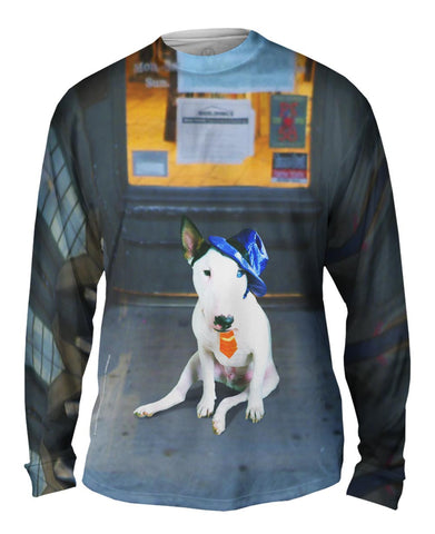 Storefront Bull Terrier
