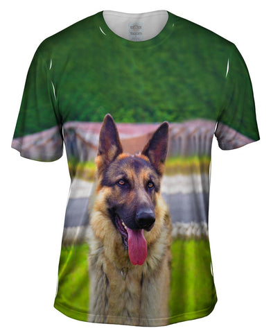 Sitting Proud German Sheperd