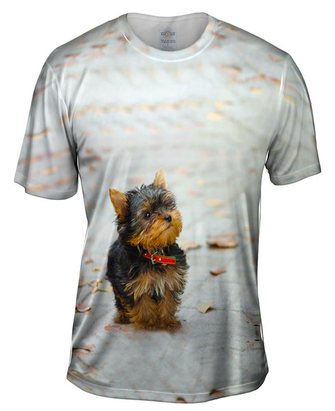Curious Yorkie Puppy Mens T-Shirt