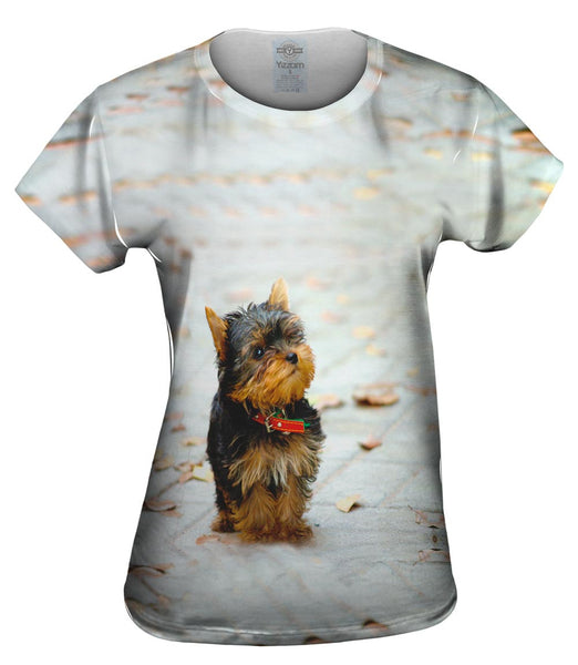 Curious Yorkie Puppy Womens Top