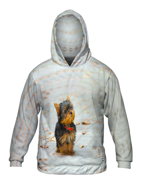 Curious Yorkie Puppy Mens Hoodie Sweater