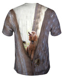 Poodle Up A Tree