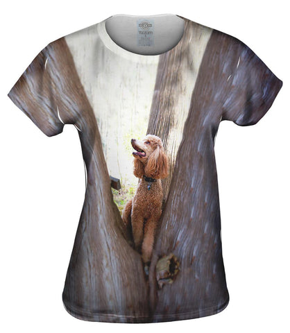 Poodle Up A Tree