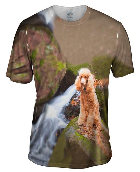 Poodle Up A Creek Mens T-Shirt