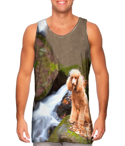 Poodle Up A Creek
