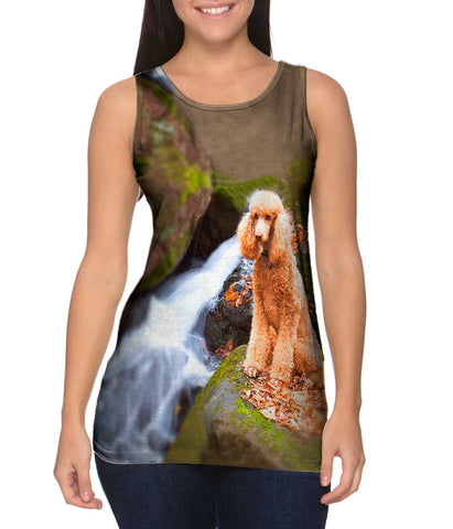 Poodle Up A Creek
