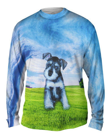 Wondering Schnauzer