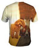 Delightfully Happy Poodle