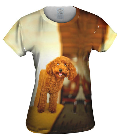 Delightfully Happy Poodle