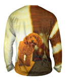 Delightfully Happy Poodle