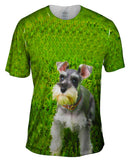 Loving Life Grey Schnauzer