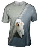 Winking Poodle