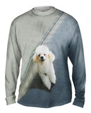 Winking Poodle