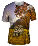 Autumn Leaves Grey Schnauzer Puppies