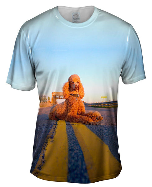 Rebel Highway Poodle Mens T-Shirt
