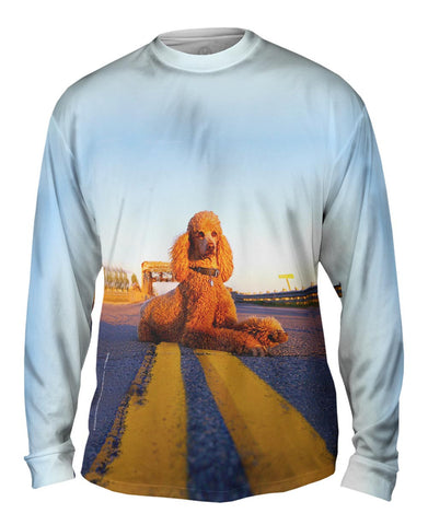 Rebel Highway Poodle