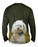 Little White Poodle