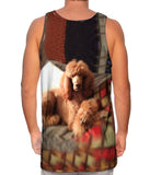 Sophisticated Poodle