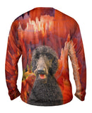 Canyon Poodle