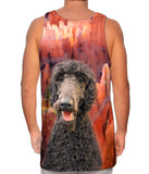 Canyon Poodle