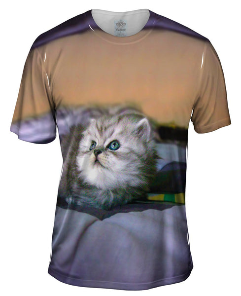 Posing Cat Mens T-Shirt