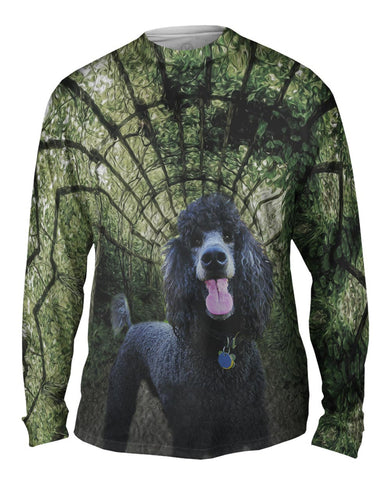 Garden Ivy Poodle