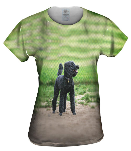 Hurrican Wind Poodle Womens Top