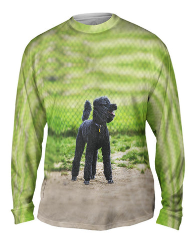 Hurrican Wind Poodle
