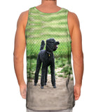 Hurrican Wind Poodle